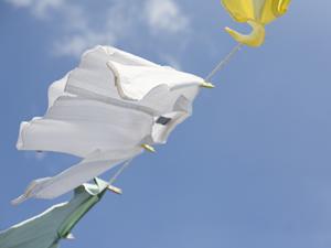 アンケート入力作業を手軽に処理する方法